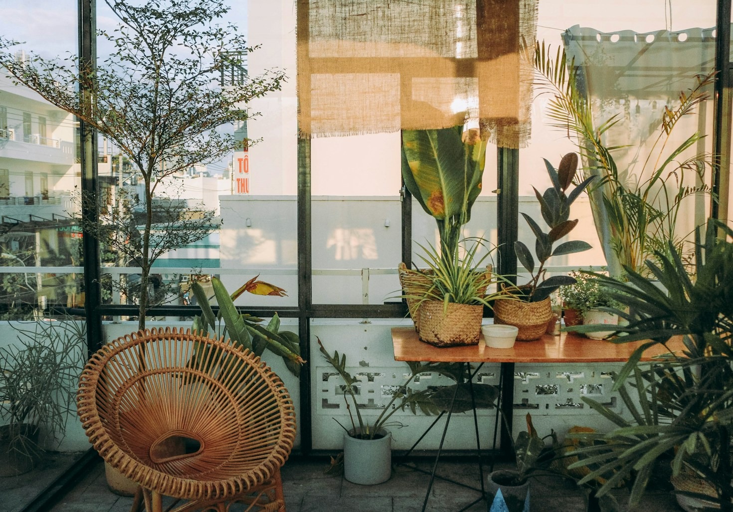 Seasonal Secrets For Your Balcony Garden