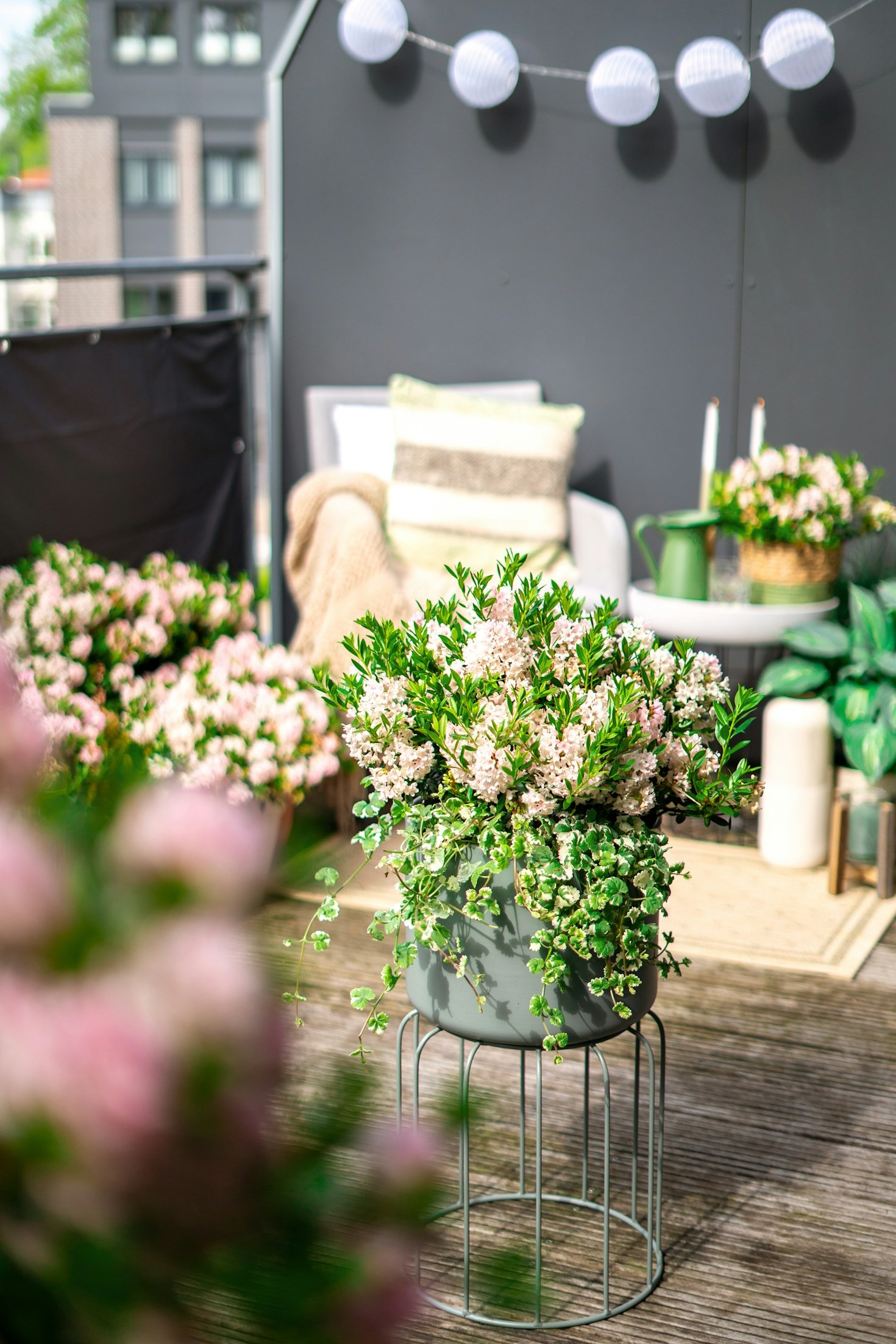 Designing A Lush Green Living Space