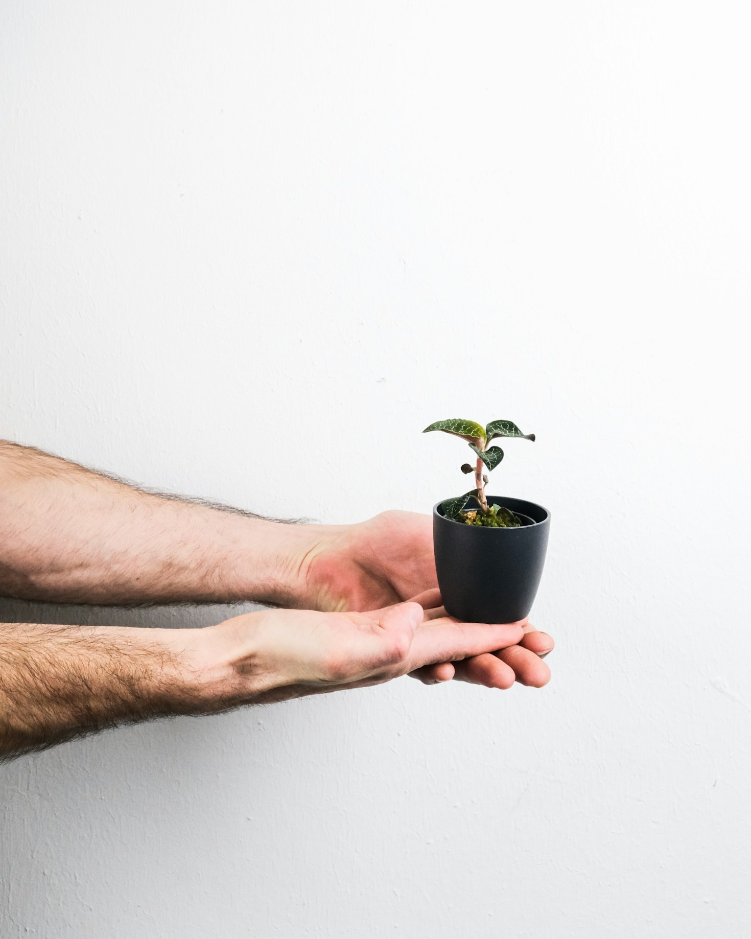 Essential Tools For Every Home Gardener